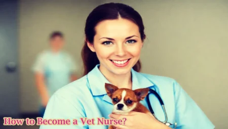 How to become a vet nurse